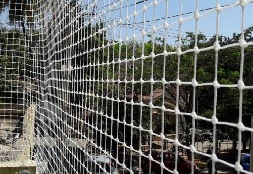 Safety Nets