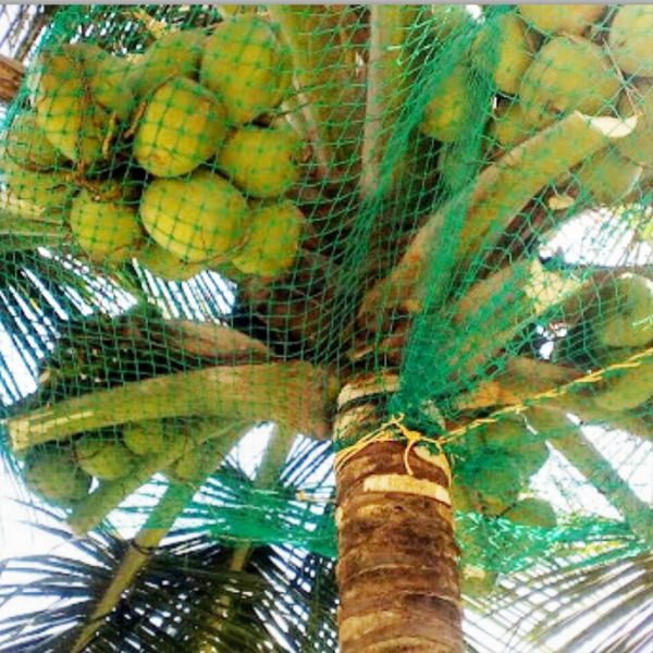 SP Safety Nets Bengaluru