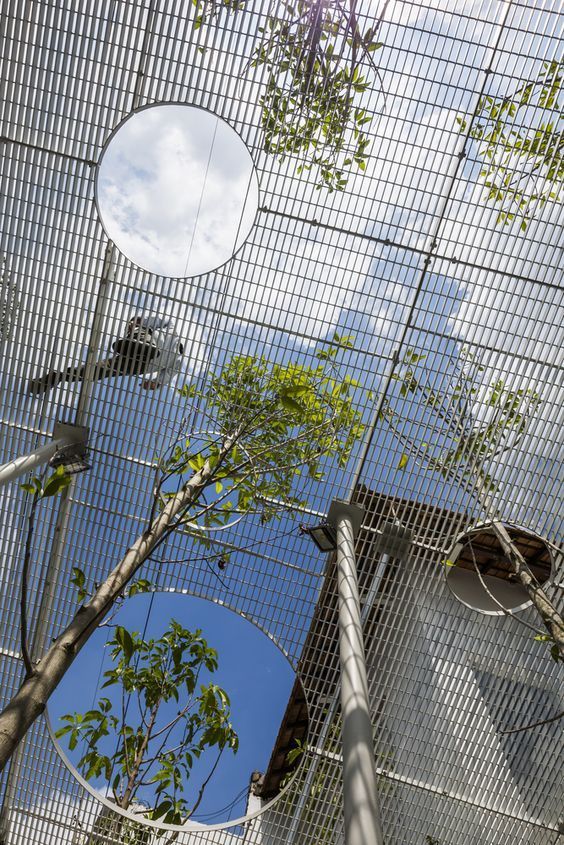Safety Nets